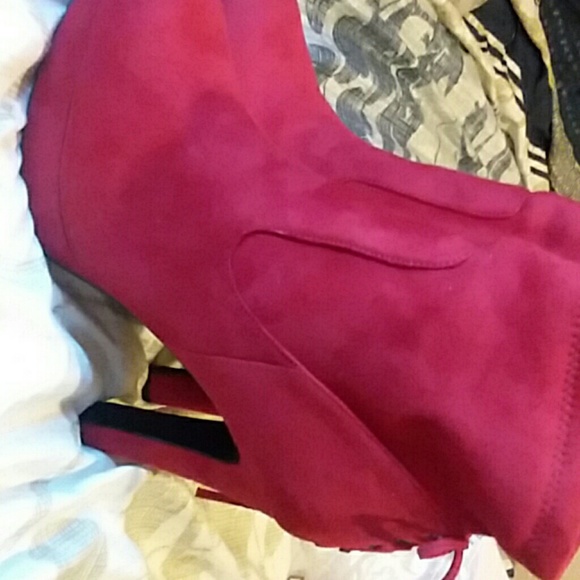 Cattails - Picture 3 of 5